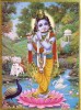 krishna