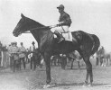 Exterminator, winner of the 1922 Kentucky Derby